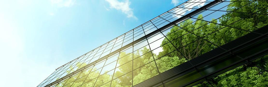 View of the reflection of trees on the side of a glass building.
